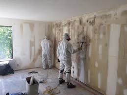 Best Post-Construction Mold Inspection in Loyal, WI